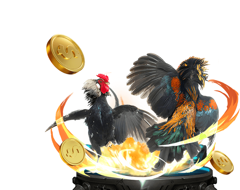 Đá Gà Trực tuyến 188 Bet