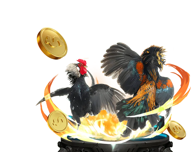 Đá Gà Trực tuyến 188 Bet